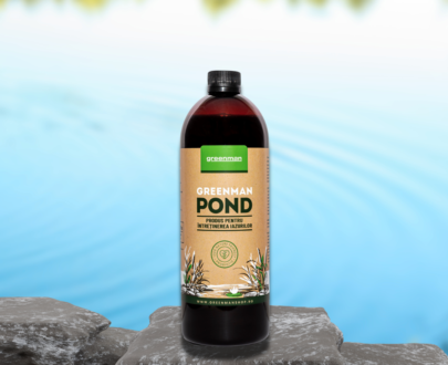 Greenman Pond 1L